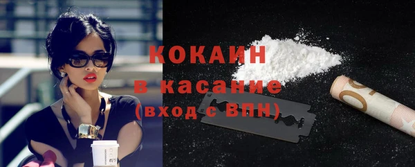 стаф Горняк