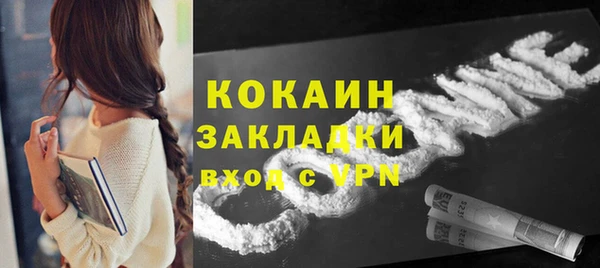 стаф Горняк