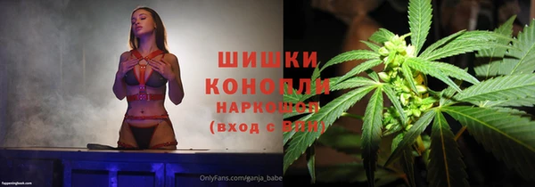 стаф Горняк