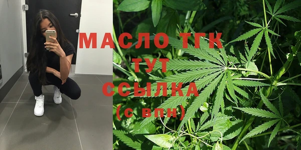 стаф Горняк