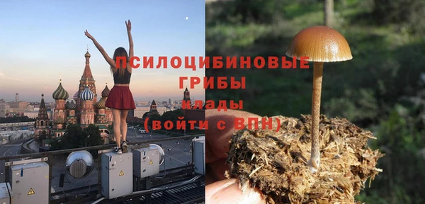 стаф Горняк
