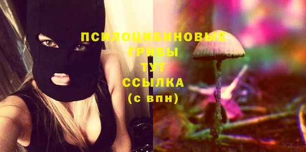 2c-b Михайловка